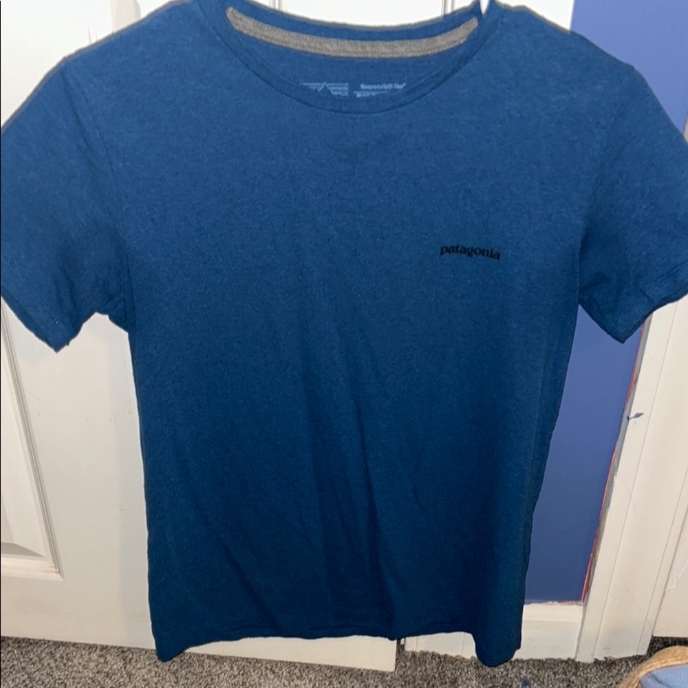 Patagonia Blue T-Shirt
